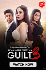 Ek Anjaan Rishtey Ka Guilt 3 (2024) Hindi SM WEB-DL H264 AAC 1080p 720p 480p