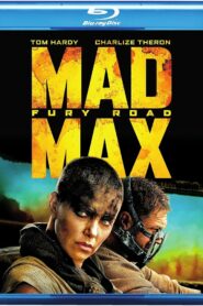 Mad Max Fury Road (2015) Dual Audio [Hindi-English] BluRay H264 AAC 1080p 720p 480p ESub