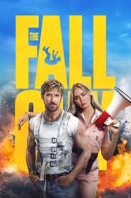 The Fall Guy (2024) Dual Audio [Hindi-English] AMZN WEB-DL H264 AAC 1080p 720p 480p ESub