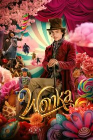 Wonka (2023) Dual Audio [Hindi-English] ORG BluRay H2264 AAC 1080p 720p 480p ESub