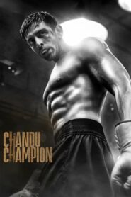Chandu Champion (2024) Hindi HDTS H264 AAC 1080p 720p 480p Download