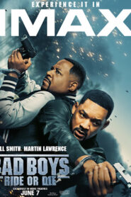 Bad Boys Ride or Die (2024) Dual Audio [Hindi-English] AMZN WEB-DL H264 AAC 1080p 720p 480p ESub