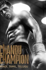 Chandu Champion (2024) Hindi AMZN WEB-DL H265 AAC 2160p 1080p 720p 480p ESub