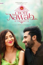 Chote Nawab (2024) Hindi iT WEB-DL H264 AAC 1080p 720p 480p ESub