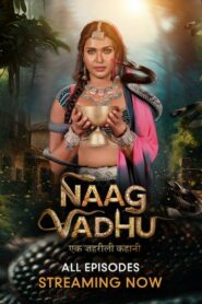 Naag Vadhu-Ek Zehreeli Kahani (2024) S01 Hindi Alt WEB-DL H264 AAC 1080p 720p 480p Download