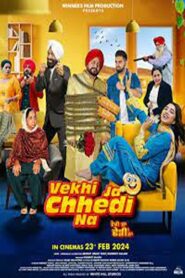 Vekhi ja chhedi na (2024) Punjabi CHTV WEB-DL H264 AAC 2160p 1080p 720p 480p ESub
