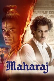 Maharaja (2024) Hindi NF WEB-DL H264 AAC 1080p 720p 480p ESub