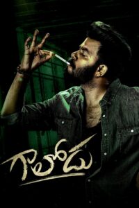 Gaalodu (2022) Uncut Dual Audio [Hindi-Telugu] WEB-DL H264 AAC 1080p 720p 480p ESub