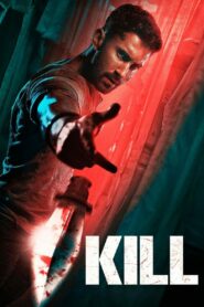 Kill (2024) Hindi HDTS H264 AAC 1080p 720p 480p Download