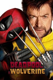 Deadpool & Wolverine (2024) Dual Audio [Hindi-English] HDTS-Rip x264 AAC 1080p 720p 480p Download