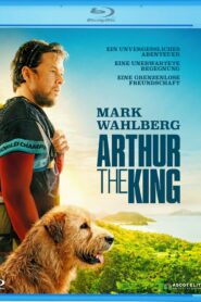 Arthur the King (2024) Dual Audio [Hindi-English] BluRay H264 AAC 1080p 720p 480p ESub