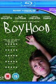 Boyhood (2014) Dual Audio [Hindi-English] BluRay H264 AAC 1080p 720p 480p ESub