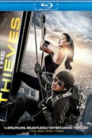 The Thieves (2012) Dual Audio [Hindi-Korean] BluRay H264 AAC 1080p 720p 480p ESub