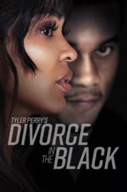 Tyler Perry’s Divorce in the Black (2024) Dual Audio [Hindi-English] AMZN WEB-DL H264 AAC 1080p 720p 480p ESub