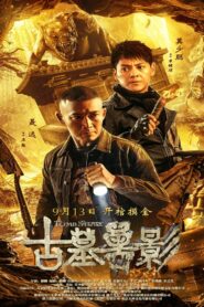 Tomb Story (2018) Dual Audio [Hindi-Chinese] AMZN WEB-DL H264 AAC 1080p 720p 480p ESub