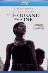 A Thousand and One (2023) Dual Audio [Hindi-English] BluRay H264 AAC 1080p 720p 480p ESub