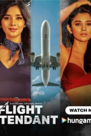 Flight Attendant (2024) S01 Hindi HGM WEB-DL H264 AAC 1080p 720p 480p ESub