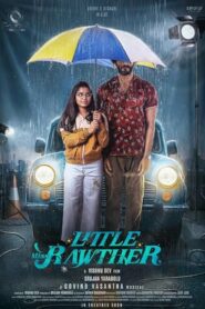 Little Miss Rawther (2023) Uncut Dual Audio [Hindi-Malayalam] AMZN WEB-DL H264 AAC 1080p 720p 480p ESub