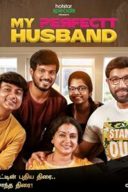 My Perfectt Husband (2024) S01 Dual Audio [Bengali-Hindi] HS WEB-DL H264 AAC 1080p 720p 480p ESub