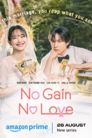 No Gain No Love (2024) S01E09 Dual Audio [Hindi-Korean] AMZN WEB-DL H264 AAC 1080p 720p 480p ESub