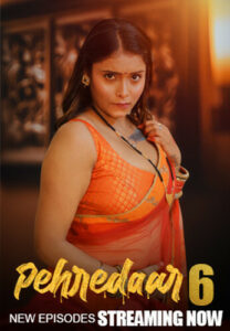 Pehredaar (2024) S06 Hindi BigPlay WEB-DL H264 AAC 1080p 720p 480p Download