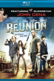 The Reunion (2011) Dual Audio [Hindi-English] BluRay H264 AAC 1080p 720p 480p ESub