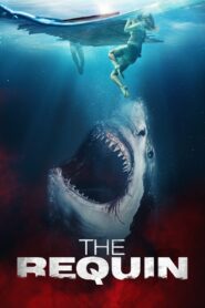 The Requin (2022) Dual Audio [Hindi-English] BluRay H264 AAC 1080p 720p 480p ESub