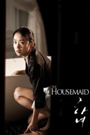 The Housemaid (2010) Dual Audio [Hindi-Korean] BluRay H264 AAC 1080p 720p 480p ESub