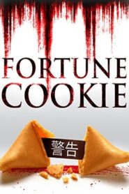 Fortune Cookie (2016) Dual Audio [Hindi-English] WEB-DL H264 AAC 720p 480p ESub