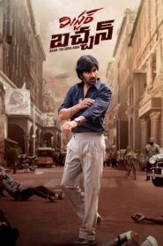 Mr. Bachchan (2024) Telugu NetFlix WEB-DL H264 AAC 1080p 720p 480p ESub