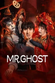 Mr.Ghost (2023) Dual Audio [Hindi-Chinese] WEB-DL H264 AAC 1080p 720p 480p ESub