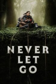 Never Let Go (2024) Dual Audio [Hindi-English] BluRay H264 AAC 1080p 720p 480p ESub