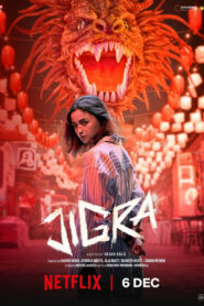 Jigra (2024) Hindi NetFlix WEB-DL H264 AAC 1080p 720p 480p ESub