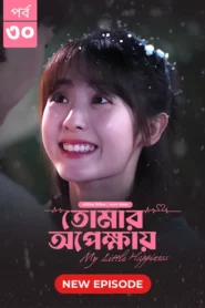 My Little Happiness-Tomar Opekkhay (2024) S01E30 Bengali Dubbed ORG BongoBD WEB-DL H264 AAC 1080p 720p 480p Download