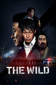 The Wild (2023) Hindi JC WEB-DL H264 AAC 1080p 720p 480p Download