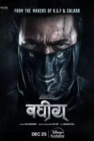 Bagheera (2024) Hindi ORG HS WEB-DL H264 AAC 2160p 1080p 720p 480p ESub