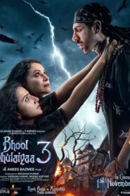 Bhool Bhulaiyaa 3 (2024) Hindi HQ HDTC x264 AAC 1080p 720p 480p Download