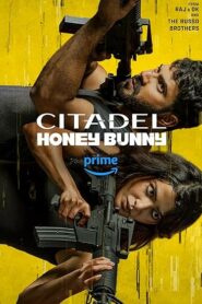 Citadel Honey Bunny (2024) S01 Hindi AMZN WEB-DL H264 AAC 1080p 720p 480p ESub