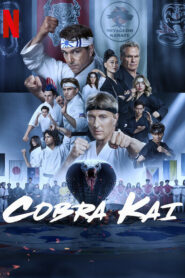 Cobra Kai (2024) S06 Dual Audio [Hindi-English] NetFlix WEB-DL H264 AAC 1080p 720p 480p ESub