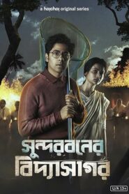 Sundarbaner Vidyasagar (2022) S01 Bengali AMZN WEB-DL H264 AAC 1080p 720p 480p ESub