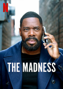 The Madness (2024) S01 Dual Audio [Hindi-English] NetFlix WEB-DL H264 AAC 1080p 720p 480p ESub