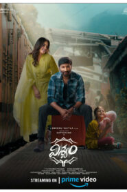 Viswam (2024) Telugu WEB-DL H264 AAC 1080p 720p 480p ESub