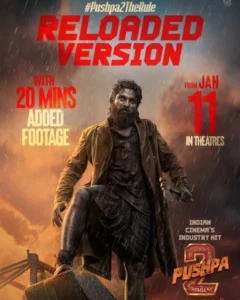 Pushpa 2 Reloaded (2025) Dual Audio [Hindi-Telugu] HDRip H264 AAC 1080p 720p 480p Download