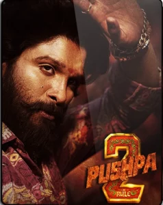 Pushpa 2 The Rule (2024) Dual Audio [Hindi Clean-Tamil] HQ HDRip H264 AAC 1080p 720p 480p Download