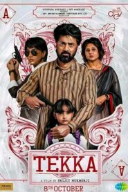 Tekka (2024) Bengali Hoichoi RAW WEB-DL H264 AAC 1080p 720p 480p ESub