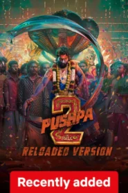 Pushpa 2 The Rule Reloaded Version (2025) Dual Audio [Hindi-Telugu] NetFlix WEB-DL H264 AAC 1080p 720p 480p ESub