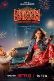 Dhoom Dhaam (2025) Hindi NetFlix WEB-DL H264 AAC 1080p 720p 480p ESub