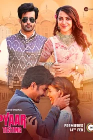 Pyaar Testing (2025) S01 Hindi Zee5 WEB-DL H264 AAC 2160p 1080p 720p 480p ESub