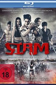 Siam Yuth The Dawn of the Kingdom (2015) Dual Audio [Hindi-German] BluRay H264 AAC 720p 480p ESub