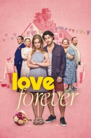 Love Forever (2025) Dual Audio [Hindi-English] NetFlix WEB-DL H264 AAC 1080p 720p 480p ESub